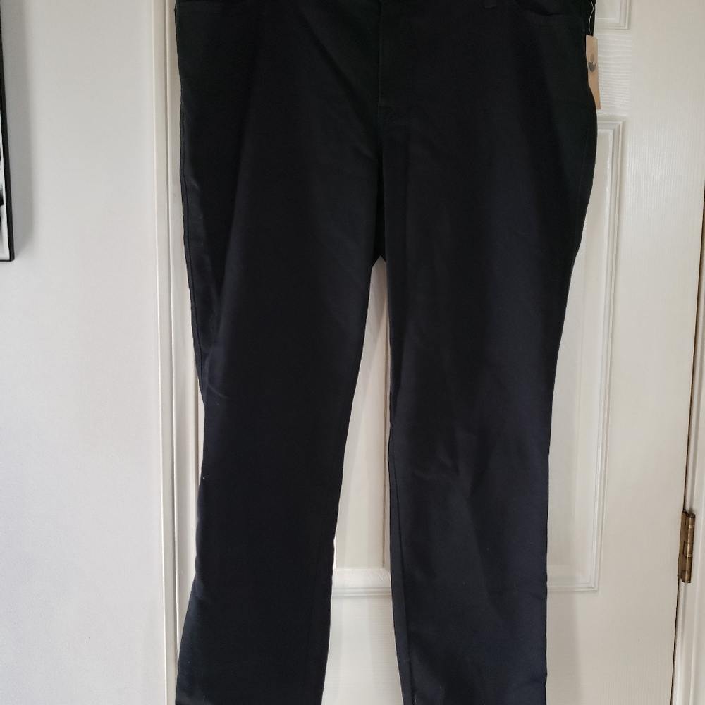 Torrid Source of Wisdom Jeans size 16